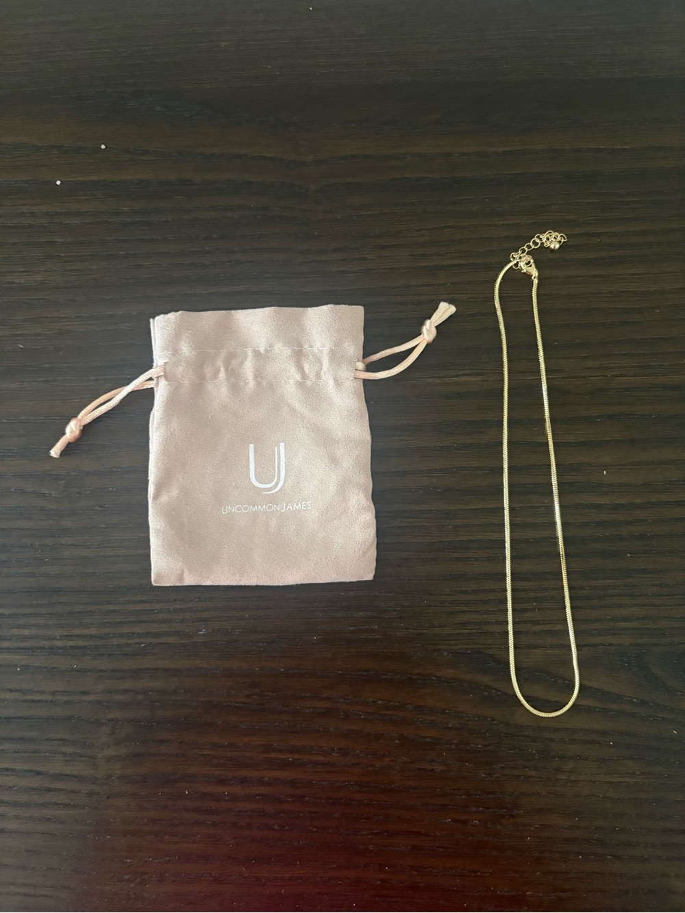 NEW Uncommon James Gold Sure Thing Necklace